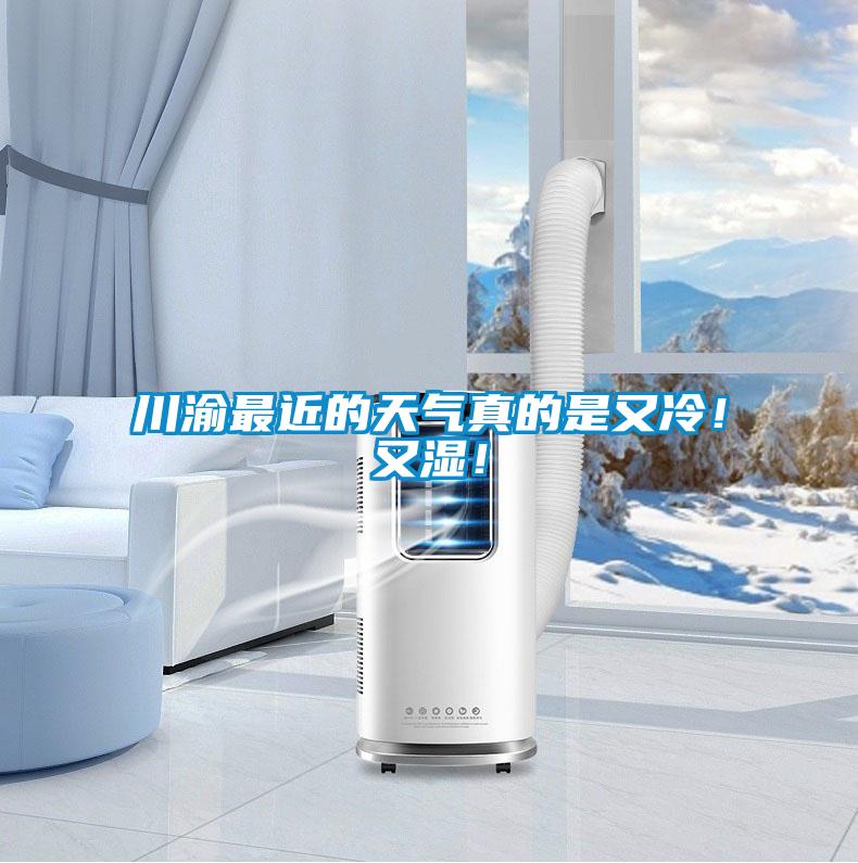 川渝最近的天氣真的是又冷！又濕！