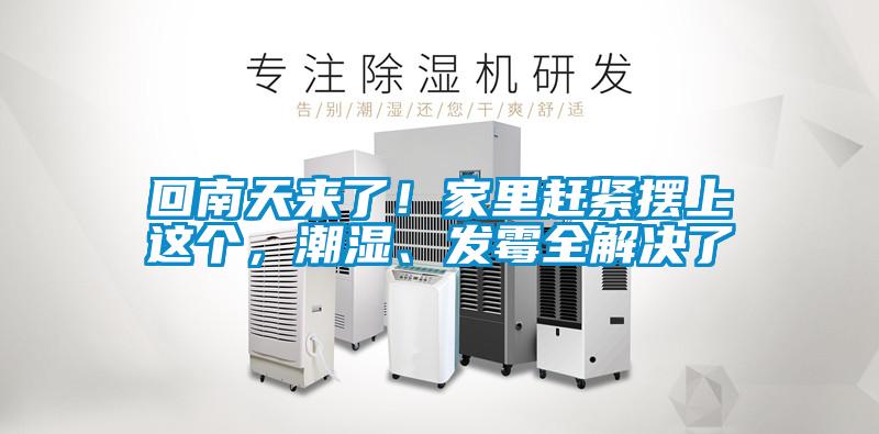 回南天來(lái)了！家里趕緊擺上這個(gè)，潮濕、發(fā)霉全解決了
