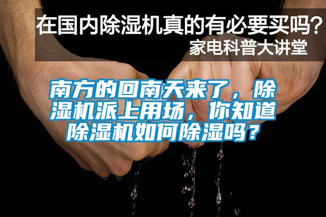 南方的回南天來(lái)了，除濕機派上用場(chǎng)，你知道除濕機如何除濕嗎？