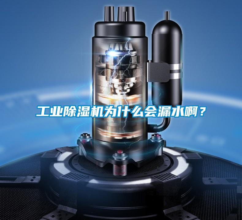 工業(yè)除濕機為什么會(huì )漏水??？