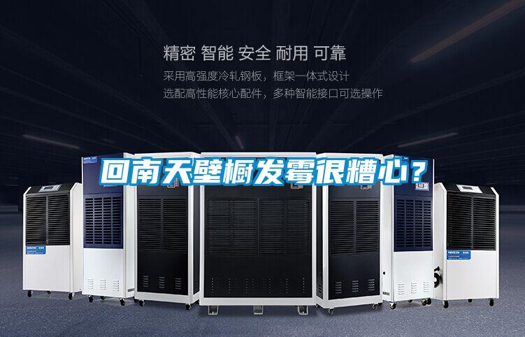 回南天壁櫥發(fā)霉很糟心？