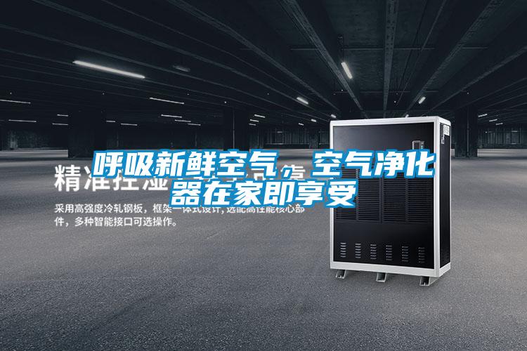 呼吸新鮮空氣，空氣凈化器在家即享受