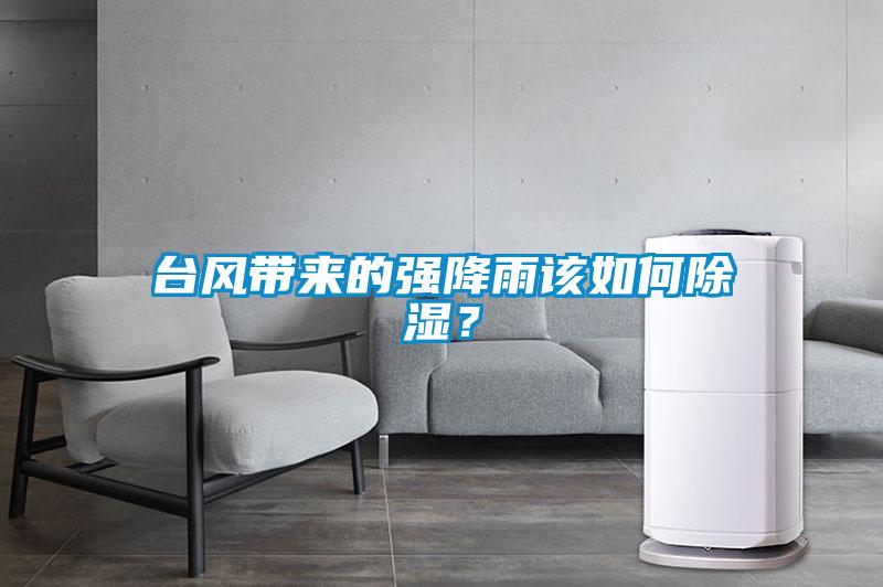 臺風(fēng)帶來(lái)的強降雨該如何除濕？