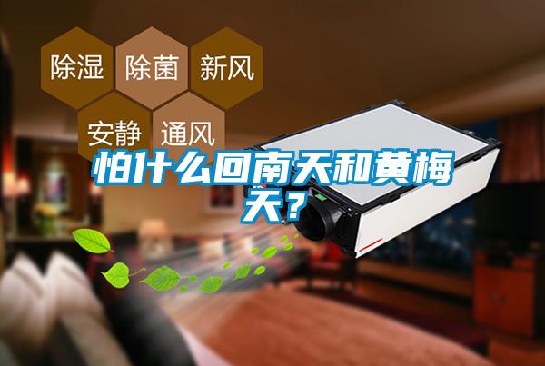 怕什么回南天和黃梅天？