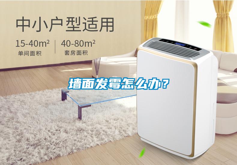 墻面發(fā)霉怎么辦？