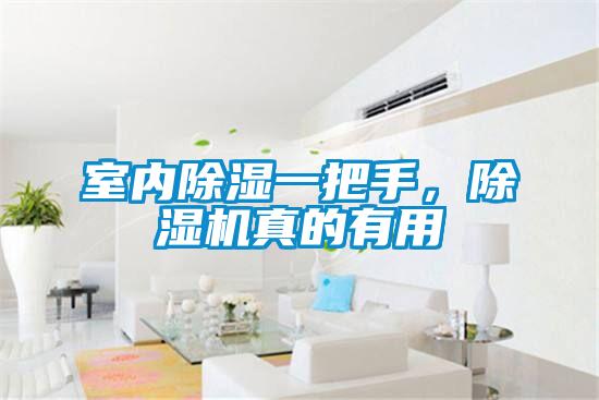 室內除濕一把手，除濕機真的有用