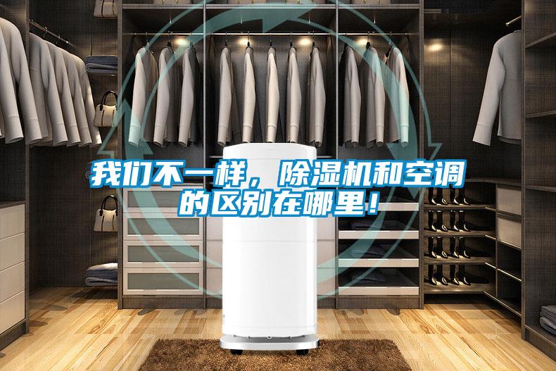 我們不一樣，除濕機和空調的區別在哪里！