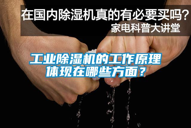 工業(yè)除濕機的工作原理體現在哪些方面？