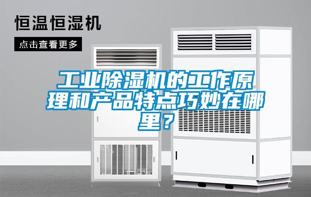 工業(yè)除濕機的工作原理和產(chǎn)品特點(diǎn)巧妙在哪里？