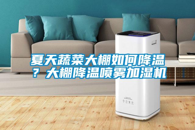 夏天蔬菜大棚如何降溫？大棚降溫噴霧加濕機