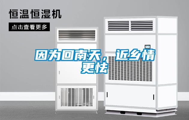 因為回南天，近鄉情更怯