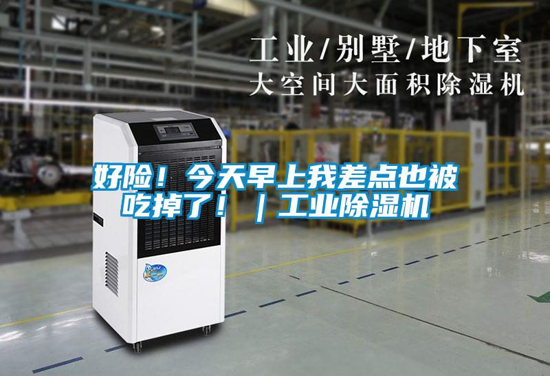 好險！今天早上我差點(diǎn)也被吃掉了?。I(yè)除濕機