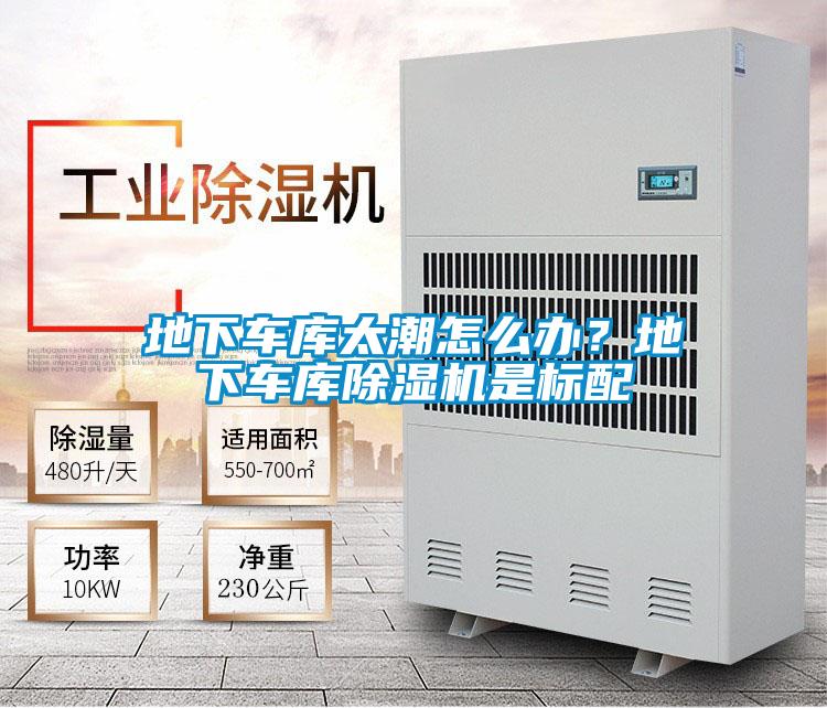 地下車(chē)庫太潮怎么辦？地下車(chē)庫除濕機是標配