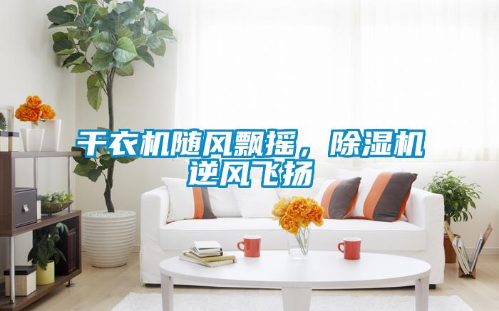 干衣機隨風(fēng)飄搖，除濕機逆風(fēng)飛揚