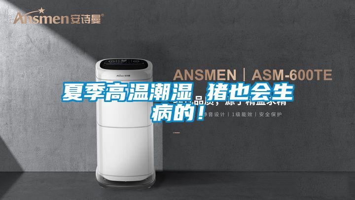 夏季高溫潮濕 豬也會(huì )生病的！