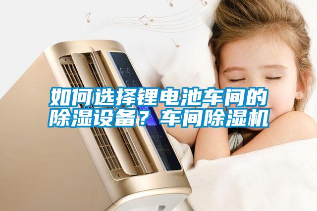 如何選擇鋰電池車(chē)間的除濕設備？車(chē)間除濕機