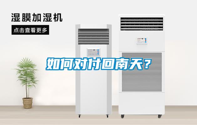 如何對付回南天？