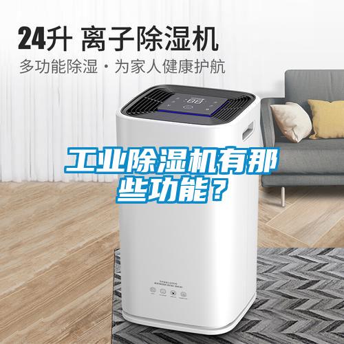 工業(yè)除濕機有那些功能？