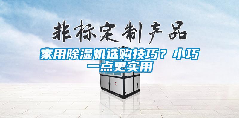家用除濕機選購技巧？小巧一點(diǎn)更實(shí)用