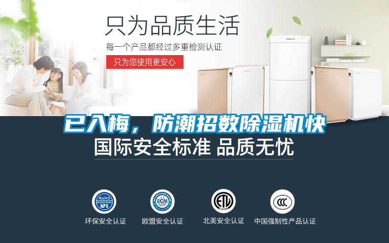 已入梅，防潮招數除濕機快