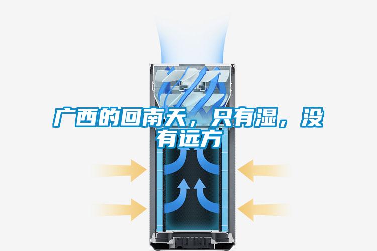 廣西的回南天，只有濕，沒(méi)有遠方