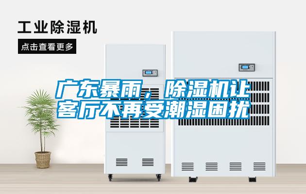 廣東暴雨，除濕機讓客廳不再受潮濕困擾