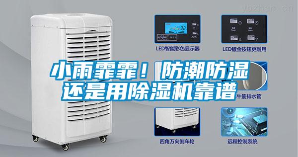 小雨霏霏！防潮防濕還是用除濕機靠譜