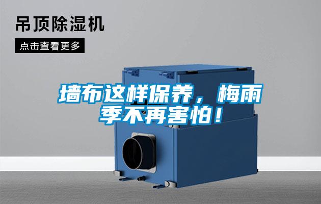 墻布這樣保養，梅雨季不再害怕！