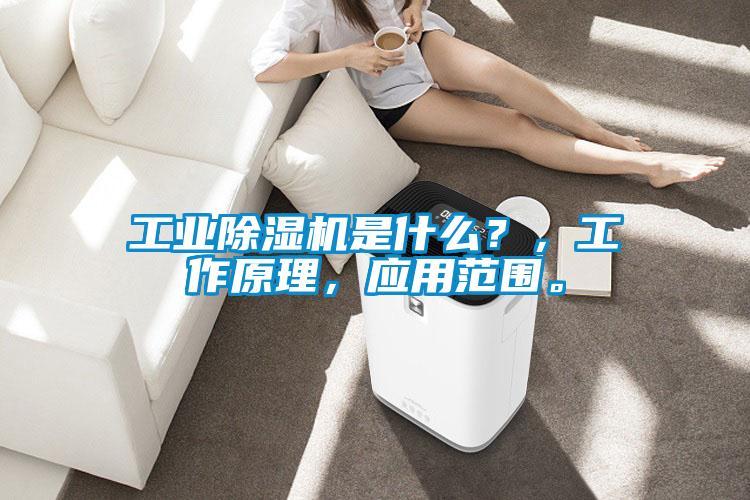 工業(yè)除濕機是什么？，工作原理，應用范圍。