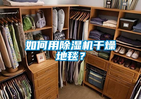如何用除濕機干燥地毯？