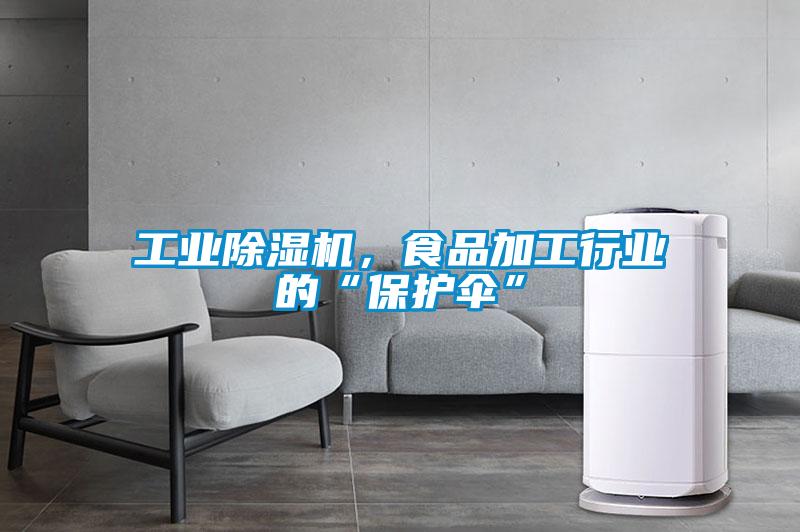 工業(yè)除濕機，食品加工行業(yè)的“保護傘”