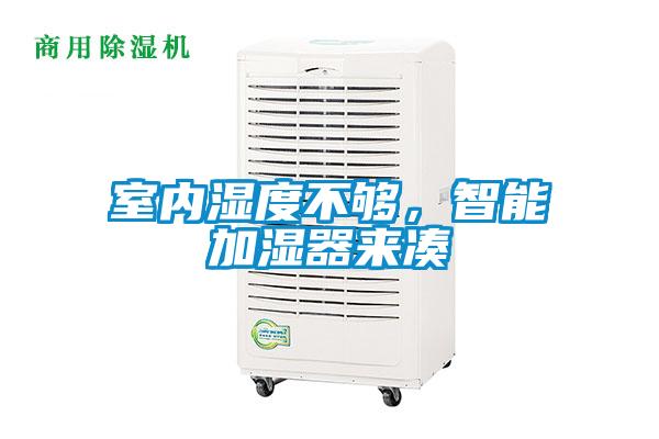 室內濕度不夠，智能加濕器來(lái)湊