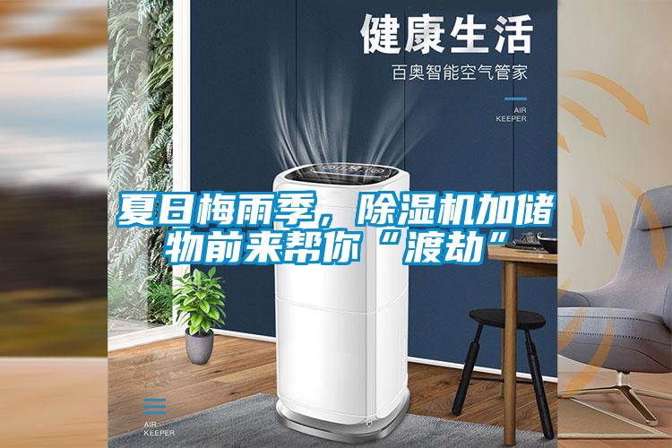 夏日梅雨季，除濕機加儲物前來(lái)幫你“渡劫”