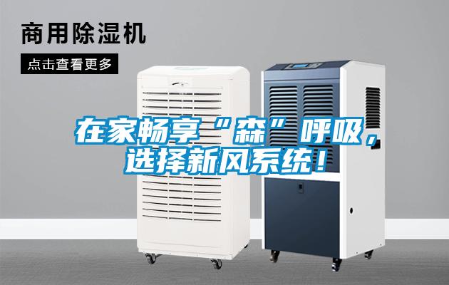 在家暢享“森”呼吸，選擇新風(fēng)系統！