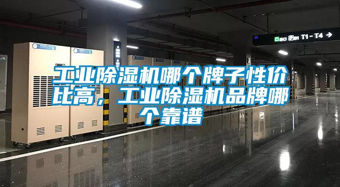 工業(yè)除濕機哪個(gè)牌子性?xún)r(jià)比高，工業(yè)除濕機品牌哪個(gè)靠譜