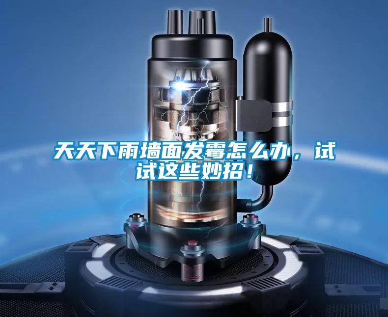 天天下雨墻面發(fā)霉怎么辦，試試這些妙招！