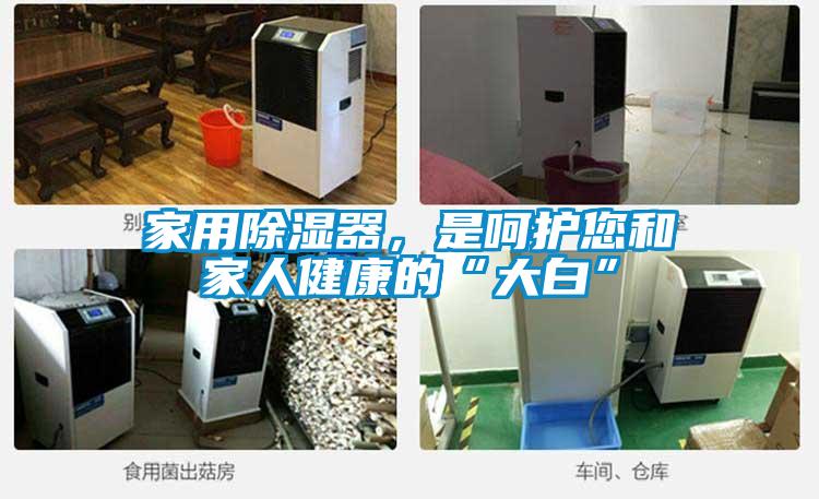 家用除濕器，是呵護您和家人健康的“大白”