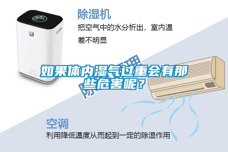 如果體內濕氣過(guò)重會(huì )有那些危害呢？