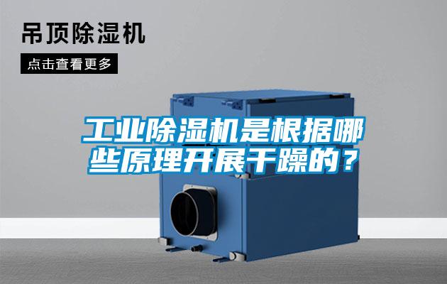 工業(yè)除濕機是根據哪些原理開(kāi)展干躁的？