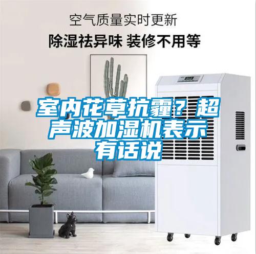 室內花草抗霾？超聲波加濕機表示有話(huà)說(shuō)