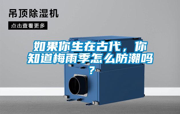 如果你生在古代，你知道梅雨季怎么防潮嗎？