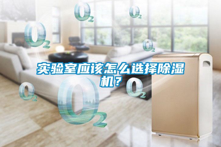 實(shí)驗室應該怎么選擇除濕機？
