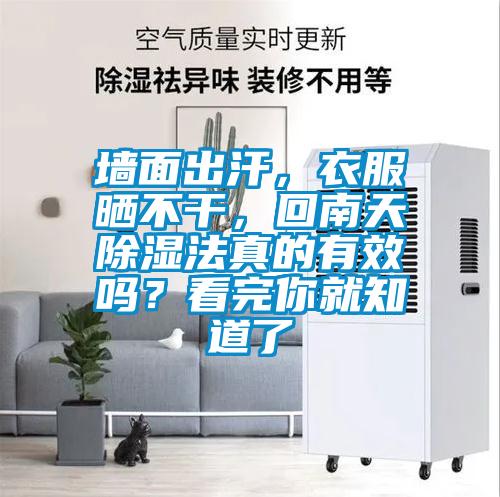 墻面出汗，衣服曬不干，回南天除濕法真的有效嗎？看完你就知道了