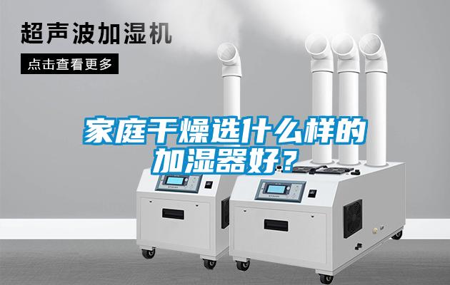 家庭干燥選什么樣的加濕器好？