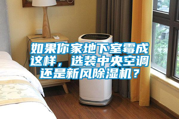 如果你家地下室霉成這樣，選裝中央空調還是新風(fēng)除濕機？