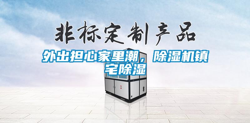 外出擔心家里潮，除濕機鎮宅除濕