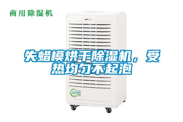 失蠟模烘干除濕機，受熱均勻不起泡