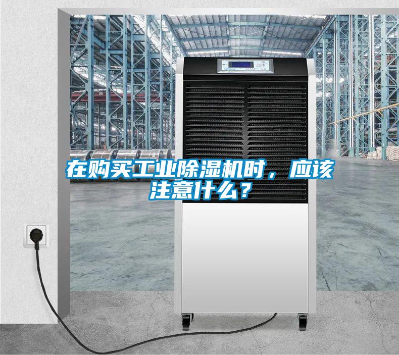 在購買(mǎi)工業(yè)除濕機時(shí)，應該注意什么？