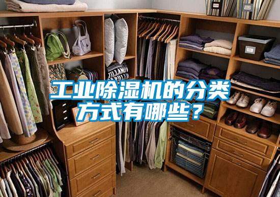 工業(yè)除濕機的分類(lèi)方式有哪些？