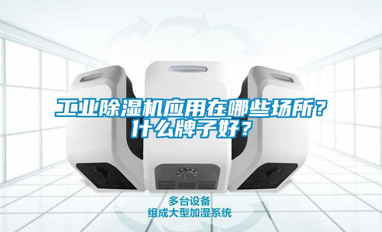 工業(yè)除濕機應用在哪些場(chǎng)所？什么牌子好？
